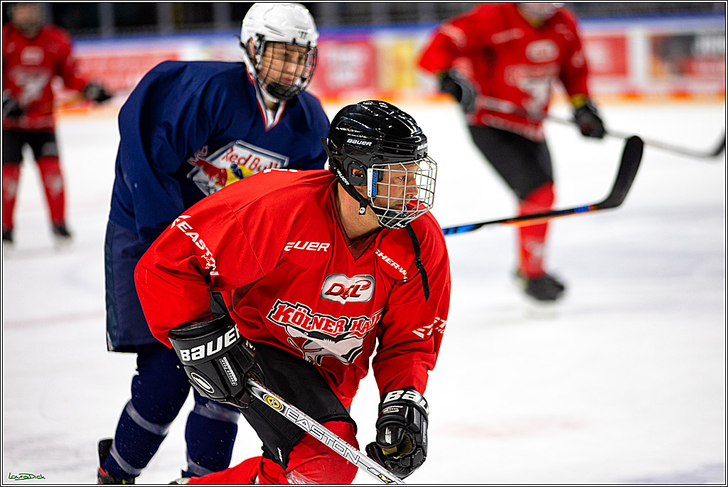 PENNY DEL; Koelner Haie- Red BUll Muenchen Sponsorenspiel; Koeln, 08.11.2022